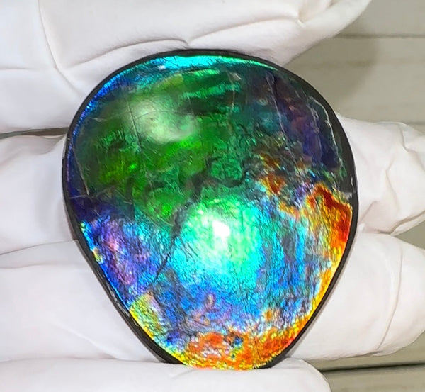 42x36x4.5㎜ Natural  Free Form . FFNT 189  Ammolite  Floral BEAUTY FREE SHIPPING! ナチュラル　ルース　アンモライト フリーフォーム