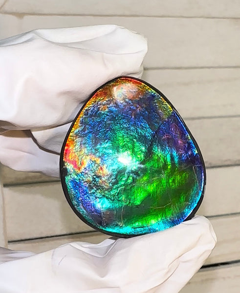 42x36x4.5㎜ Natural  Free Form . FFNT 189  Ammolite  Floral BEAUTY FREE SHIPPING! ナチュラル　ルース　アンモライト フリーフォーム