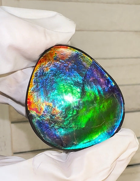 42x36x4.5㎜ Natural  Free Form . FFNT 189  Ammolite  Floral BEAUTY FREE SHIPPING! ナチュラル　ルース　アンモライト フリーフォーム