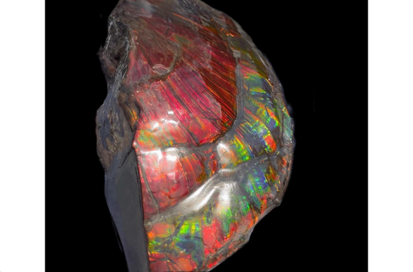 15.6" Huge Rainbow Double-sided Ammolite Rough Display Stone,Imperial red! Specimen 399mm, Fossil,Fengshui,Metaphysical,Home Decor AF-118