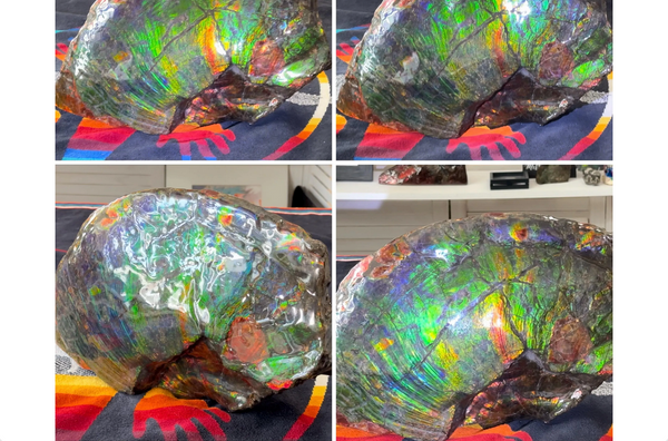 15.6" Huge Rainbow Double-sided Ammolite Rough Display Stone,Imperial red! Specimen 399mm, Fossil,Fengshui,Metaphysical,Home Decor AF-118