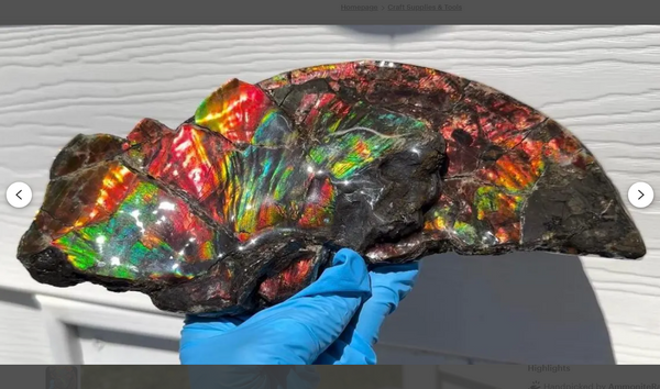 6.96” Rainbow colors,Ammolite Display Stone,Handheld Beautiful Specimen,Fossil,Lotus Flower w/a Sun,Metaphysical,Home Decor,Alberta Fossi　CS-257