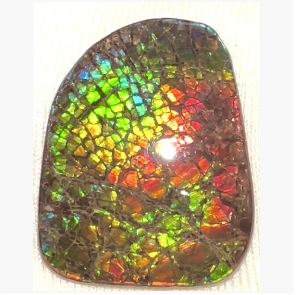 SALE! Rainbow colors,Ammolite Display Stone,Handheld Beautiful Specimen,Fossil,Metaphysical,Home Decor,Alberta fossil CS-263 Free shipping!