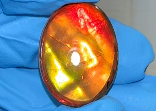 Loose Stone, Ammolite,Freeform, Cabochon 25x19mm,  Loose gemstone Canadian Ammonite,wrapping jewellery,Bright!.FC-131-1