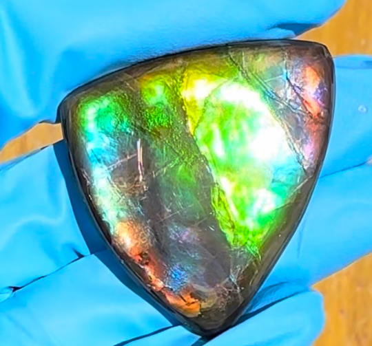 Loose Stone, Ammolite,Freeform, Cabochon 43x36mm, Loose gemstone Canadian Ammonite,wrapping jewellery FC-146