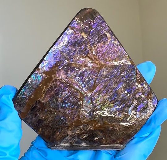 4.1" Ammolite Rough Coated Stone,Handheld Specimen 105mm, Rough,Fossil,Fengshui,Metaphysical,Home Decor Inactive　CS-247