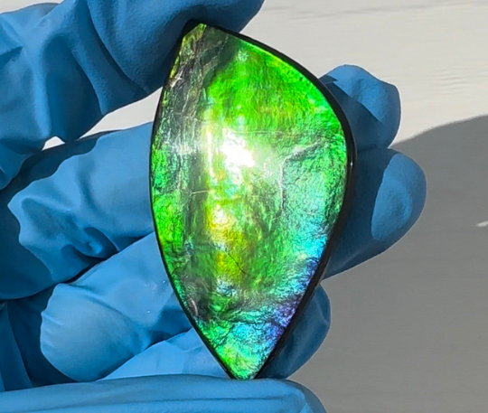 2.16" Ammolite NATURAL Hand POLISHED Large 55x31mm Loose Gemstone,Home decor,Display gem FFNT181