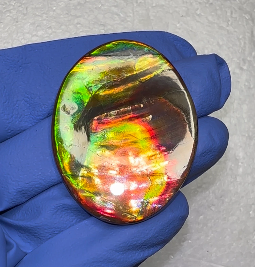 🌈Rare Ammolite Double-Sided NATURAL Polished Rainbow! Collector's Gemstone 50x28m IMP922