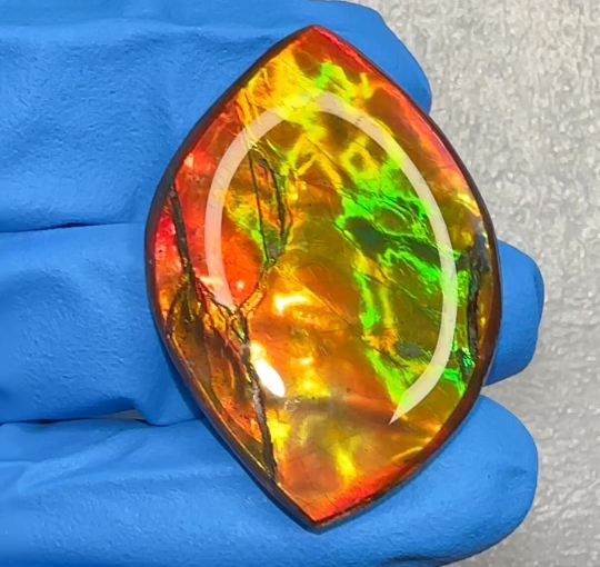 Loose Stone, Ammolite,Freeform, Cabochon 36x25mm, Loose gemstone Canadian Ammonite,wrapping jewellery,Bright! High grade FC-132-1