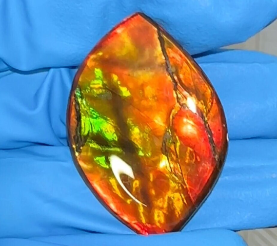 Loose Stone, Ammolite,Freeform, Cabochon 36x25mm, Loose gemstone Canadian Ammonite,wrapping jewellery,Bright! High grade FC-132-1