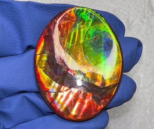 🌈Rare Ammolite Double-Sided NATURAL Polished Rainbow! Collector's Gemstone 50x28m IMP922