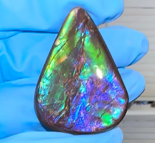 Loose Stone, Ammolite,Freeform, Cabochon 41x31mm, Loose gemstone Canadian Ammonite,wrapping jewellery FC-148