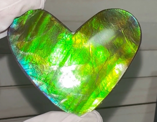 Heart shaped Ammolite Imperial Double-Sided NATURAL Polished Freeform Stone Collector's Gemstone 52x41mm, Polished/Coated IMP101