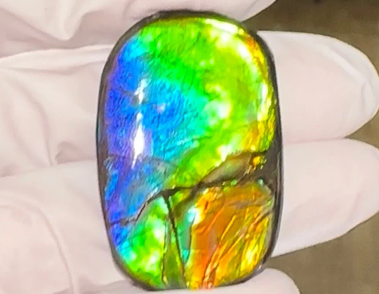 Loose Stone, Ammolite,Freeform, Cabochon 35x20mm, Loose gemstone Canadian Ammonite,wrapping jewellery,High grade,  FC-162