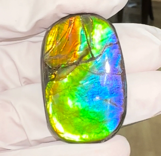 Loose Stone, Ammolite,Freeform, Cabochon 35x20mm, Loose gemstone Canadian Ammonite,wrapping jewellery,High grade,  FC-162