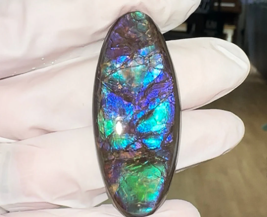 Loose Stone, Ammolite,Freeform, Cabochon 54x23mm, Loose gemstone Canadian Ammonite,wrapping jewellery,  FC-163