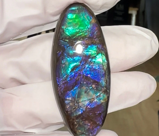 Loose Stone, Ammolite,Freeform, Cabochon 54x23mm, Loose gemstone Canadian Ammonite,wrapping jewellery,  FC-163