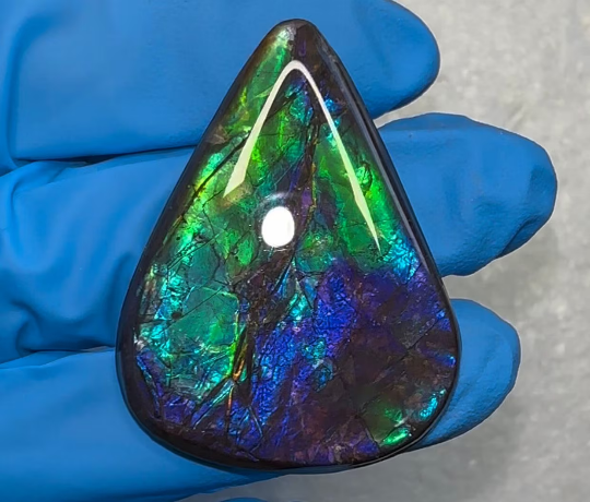 Loose Stone, Ammolite,Freeform, Cabochon 41x31mm, Loose gemstone Canadian Ammonite,wrapping jewellery FC-148