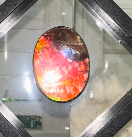 Ammolite Imperial Double-Sided NATURAL Polished Freeform Stone Collector's Gemstone 42x31mm, Polished/Coated IMP100