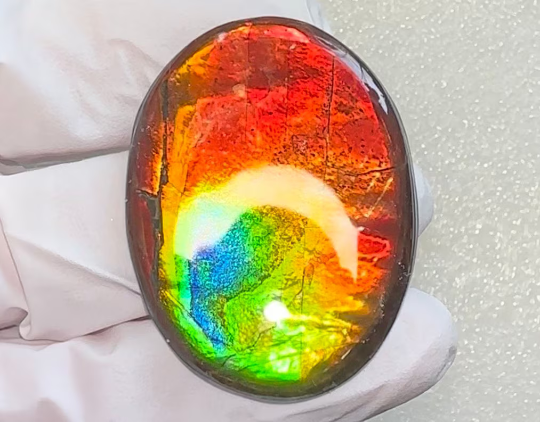 Ammolite Imperial Double-Sided NATURAL Polished Freeform Stone Collector's Gemstone 42x31mm, Polished/Coated IMP100