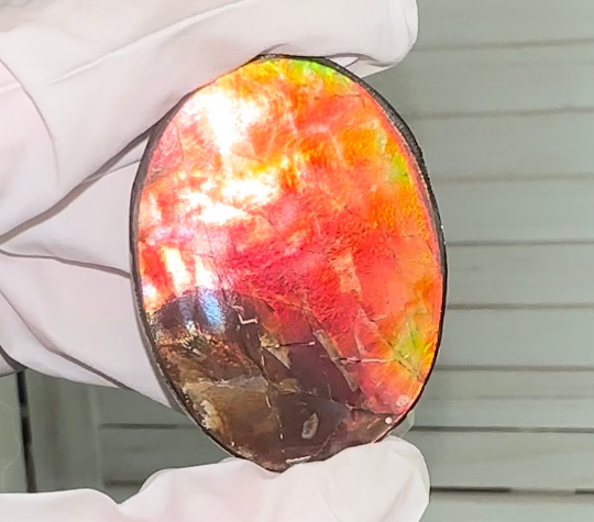 Ammolite Imperial Double-Sided NATURAL Polished Freeform Stone Collector's Gemstone 42x31mm, Polished/Coated IMP100