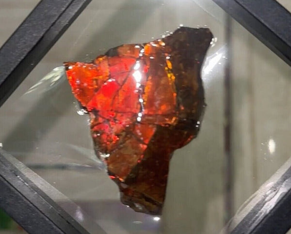 Ammolite Rough Display Stone,Handheld Specimen 55x40mm, Rough,Fossil,Fengshui,Metaphysical,Home Decor,Bright!  RS-24