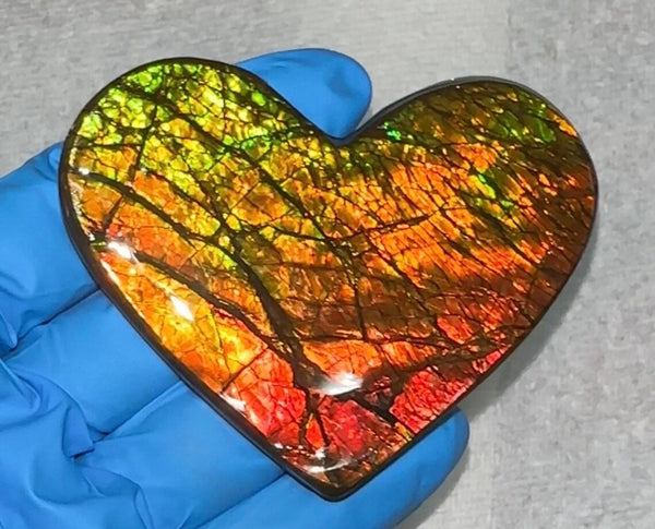 2.91" Display,Loose Stone, Ammolite,Freeform, Cabochon 74x57mm, Loose gemstone Canadian Dragon skin,wrapping jewellery,Heart! Bright! FC-1371