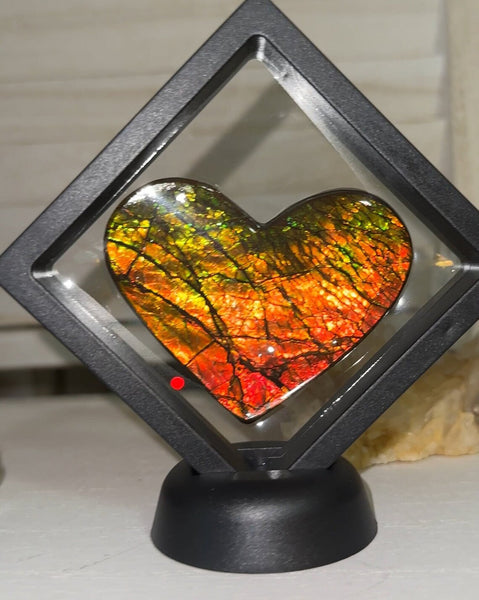 2.91" Display,Loose Stone, Ammolite,Freeform, Cabochon 74x57mm, Loose gemstone Canadian Dragon skin,wrapping jewellery,Heart! Bright! FC-1371