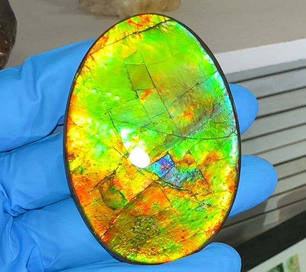 Large! Loose Stone, Ammolite,Freeform, Cabochon 62x44mm, Loose gemstone Canadian Ammonite,wrapping jewellery,Bright!  FC-1372