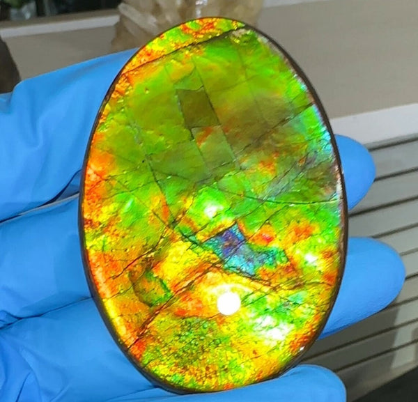 Large! Loose Stone, Ammolite,Freeform, Cabochon 62x44mm, Loose gemstone Canadian Ammonite,wrapping jewellery,Bright!  FC-1372