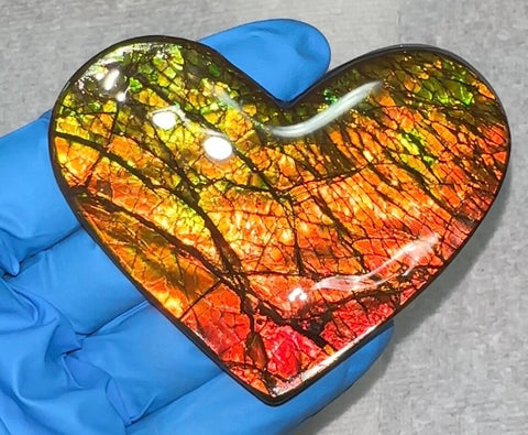 2.91" Display,Loose Stone, Ammolite,Freeform, Cabochon 74x57mm, Loose gemstone Canadian Dragon skin,wrapping jewellery,Heart! Bright! FC-1371
