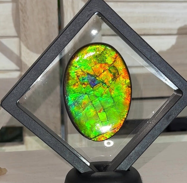Large! Loose Stone, Ammolite,Freeform, Cabochon 62x44mm, Loose gemstone Canadian Ammonite,wrapping jewellery,Bright!  FC-1372