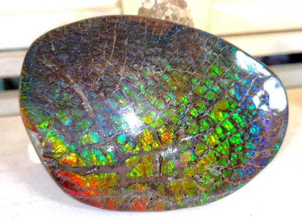 5.2"Massive Rainbow Color,Ammolite NATURAL Polished Display Home Decor Loose Stone Beautiful rainbow dragonskin,Home decor,Rare specimen FFNT216 Free shipping!jmn ]=]=