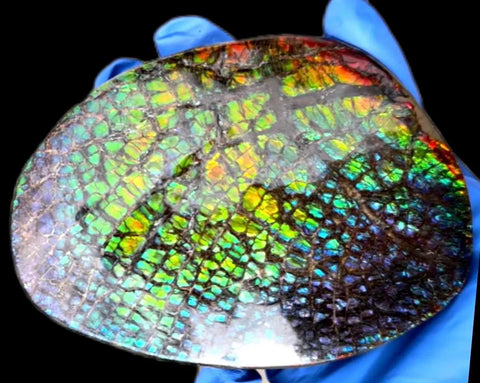 5.2"Massive Rainbow Color,Ammolite NATURAL Polished Display Home Decor Loose Stone Beautiful rainbow dragonskin,Home decor,Rare specimen FFNT216 Free shipping!jmn ]=]=