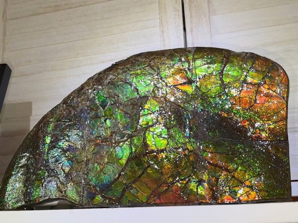 14.4" Huge Double-sided Ammolite Rough Display Stone Muticolour! Handheld Specimen 333mm, Rough,Fossil,Fengshui,Metaphysical,Home Decor **FREE SHIPPING***　AF-105