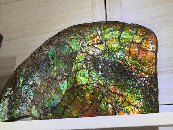 14.4" Huge Double-sided Ammolite Rough Display Stone Muticolour! Handheld Specimen 333mm, Rough,Fossil,Fengshui,Metaphysical,Home Decor **FREE SHIPPING***　AF-105