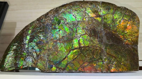 14.4" Huge Double-sided Ammolite Rough Display Stone Muticolour! Handheld Specimen 333mm, Rough,Fossil,Fengshui,Metaphysical,Home Decor **FREE SHIPPING***　AF-105
