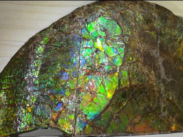 14.4" Huge Double-sided Ammolite Rough Display Stone Muticolour! Handheld Specimen 333mm, Rough,Fossil,Fengshui,Metaphysical,Home Decor **FREE SHIPPING***　AF-105