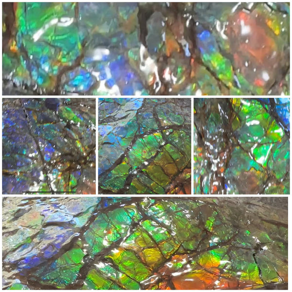 14.4" Huge Double-sided Ammolite Rough Display Stone Muticolour! Handheld Specimen 333mm, Rough,Fossil,Fengshui,Metaphysical,Home Decor **FREE SHIPPING***　AF-105