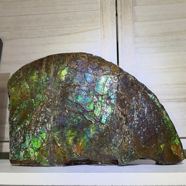 14.4" Huge Double-sided Ammolite Rough Display Stone Muticolour! Handheld Specimen 333mm, Rough,Fossil,Fengshui,Metaphysical,Home Decor **FREE SHIPPING***　AF-105