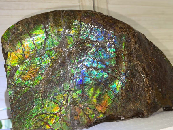14.4" Huge Double-sided Ammolite Rough Display Stone Muticolour! Handheld Specimen 333mm, Rough,Fossil,Fengshui,Metaphysical,Home Decor **FREE SHIPPING***　AF-105