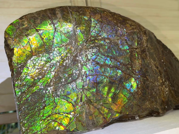 14.4" Huge Double-sided Ammolite Rough Display Stone Muticolour! Handheld Specimen 333mm, Rough,Fossil,Fengshui,Metaphysical,Home Decor **FREE SHIPPING***　AF-105
