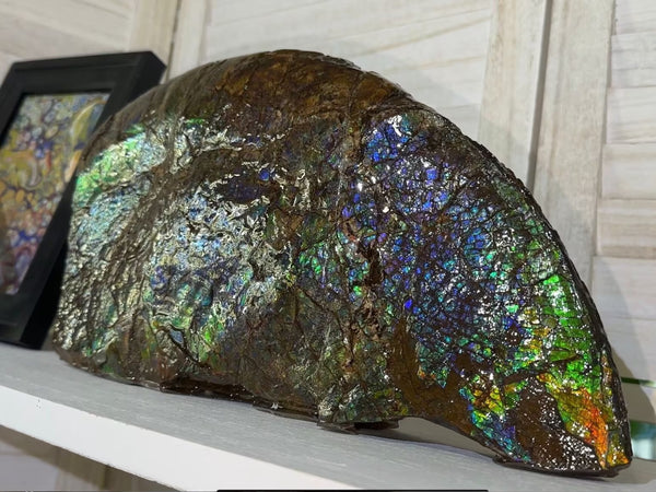 14.4" Huge Double-sided Ammolite Rough Display Stone Muticolour! Handheld Specimen 333mm, Rough,Fossil,Fengshui,Metaphysical,Home Decor **FREE SHIPPING***　AF-105