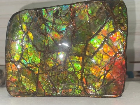 7.08" Ammolite Rough Display Stone,Handheld Specimen 180x126mm, Rough,Fossil,Fengshui,Metaphysical,Home Decor,Free standing CS-242