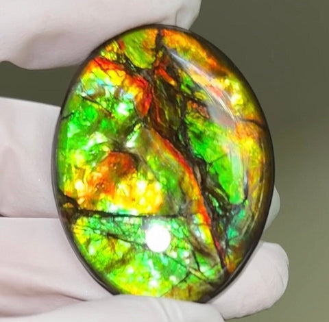 Loose Stone, Ammolite,Freeform,Oval, Cabochon 43x34mm, Loose gemstone Canadian Ammonite,wrapping jewellery, FC-124