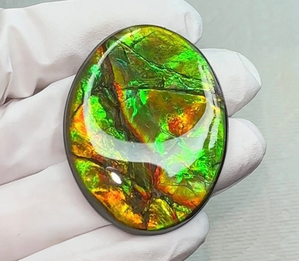 Loose Stone, Ammolite,Freeform,Oval, Cabochon 43x34mm, Loose gemstone Canadian Ammonite,wrapping jewellery, FC-124