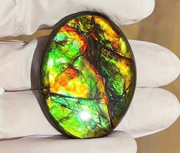 Loose Stone, Ammolite,Freeform,Oval, Cabochon 43x34mm, Loose gemstone Canadian Ammonite,wrapping jewellery, FC-124