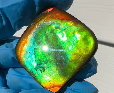 2" Ammolite Imperial Double-Sided NATURAL Polished  Freeform  Stone  Collector's Gemstone  Polished/Coated IMP98