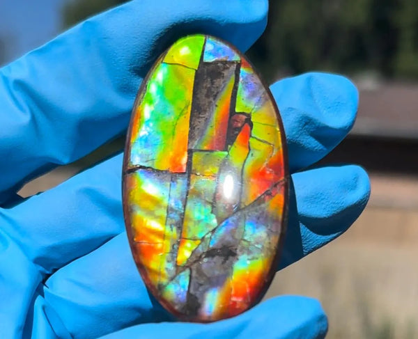 Loose Stone, Ammolite,Freeform, Cabochon 60x33mm,  Loose gemstone Canadian Ammonite,wrapping jewellery,FC-194