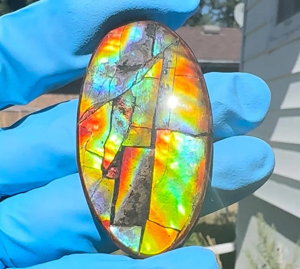 Loose Stone, Ammolite,Freeform, Cabochon 60x33mm,  Loose gemstone Canadian Ammonite,wrapping jewellery,FC-194